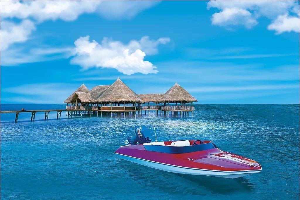 深海鱼救援